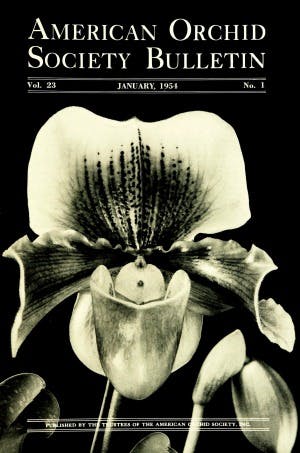 January 1961