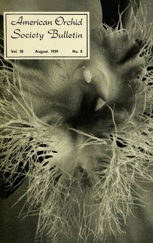 August 1959
