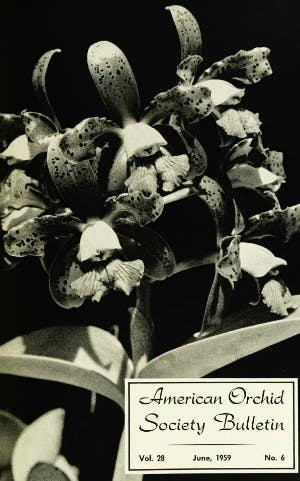 June 1959