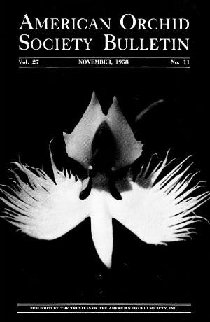 November 1958