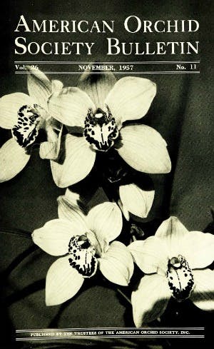 November 1957