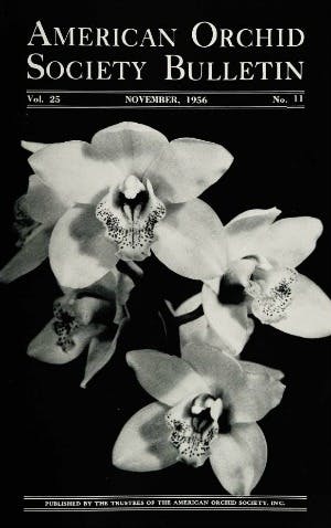 November 1956