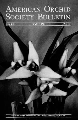 May 1955