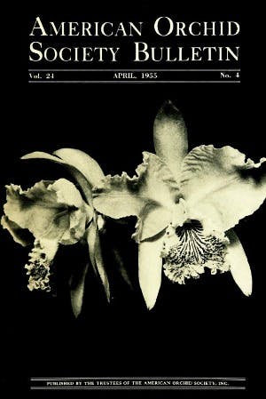 April 1955