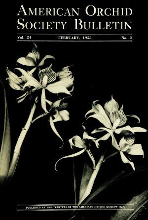 February 1955