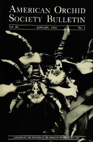 January 1955