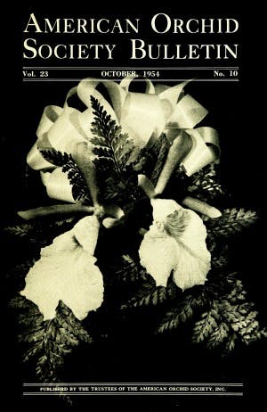 October 1954
