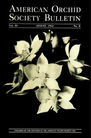 August 1954