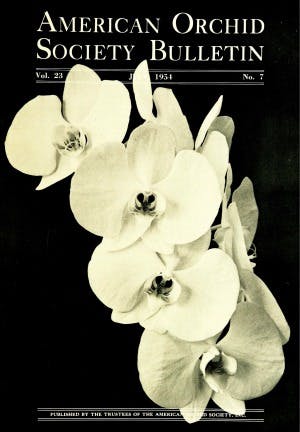 July 1954