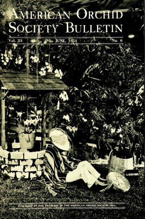 June 1954