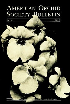 May 1954