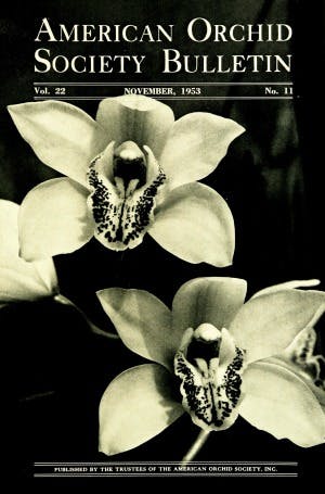 November 1953