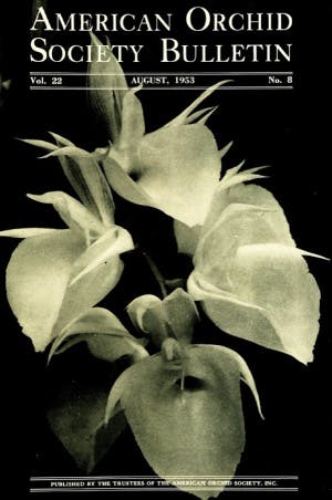 August 1953