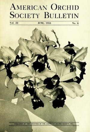 June 1953