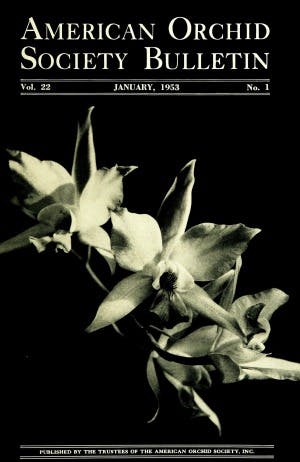 January 1953