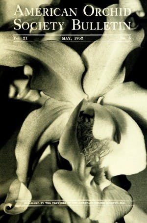 May 1952