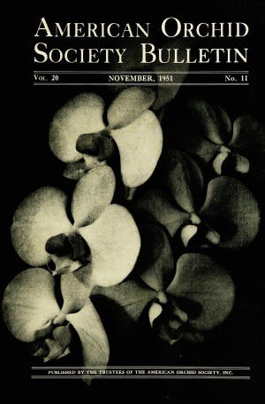 November 1951
