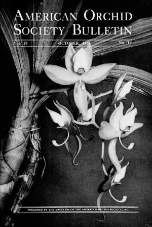 October 1951