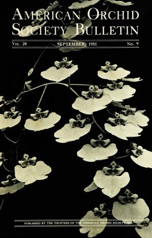 Septerber 1951