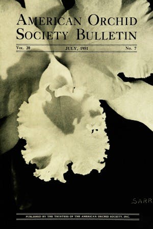 July 1951
