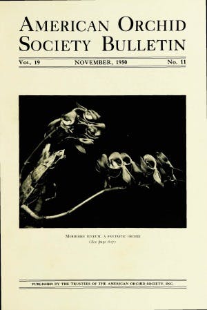 November 1950