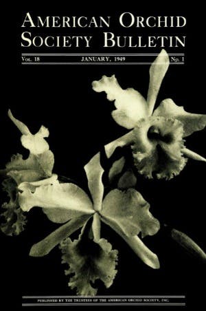 January 1949