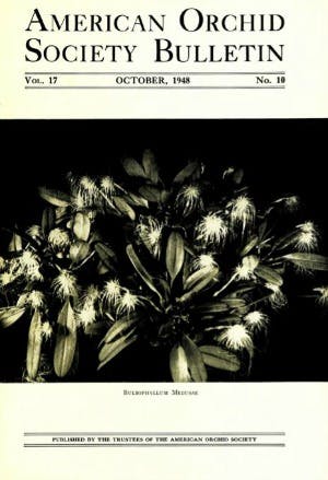 October 1948