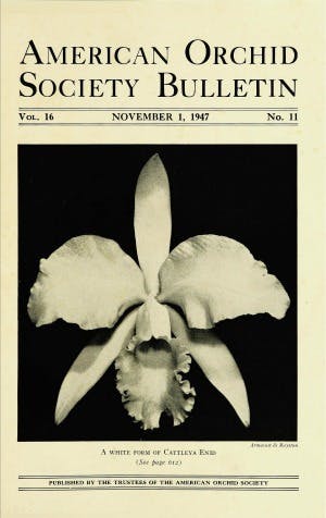 November 1947