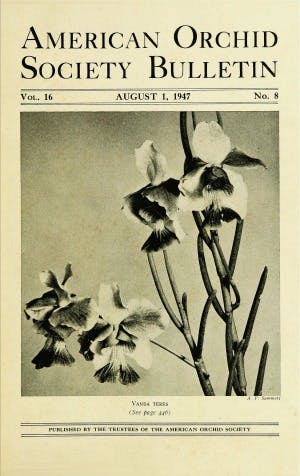August 1947