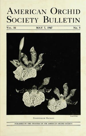 May 1947