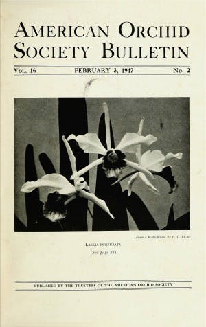 February 1947