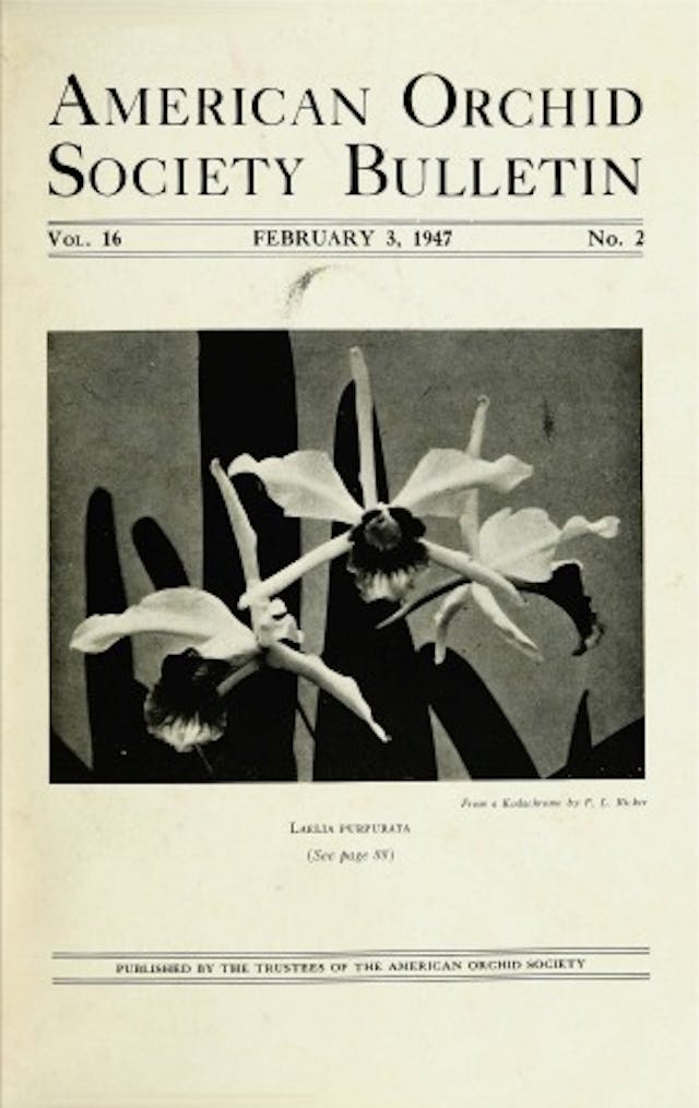  February 1947
