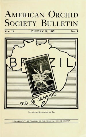 January 1947