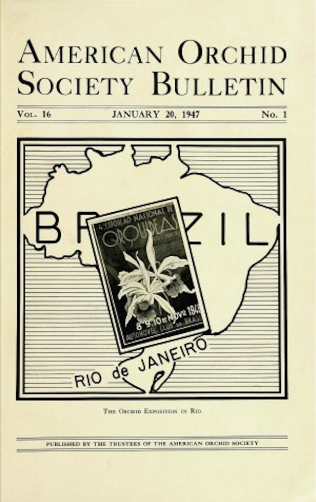  January 1947