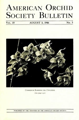 August 1946