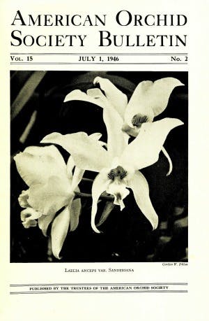 July 1946
