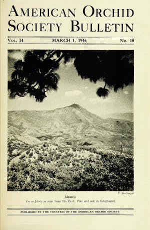 March 1946