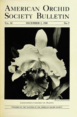 December 1945
