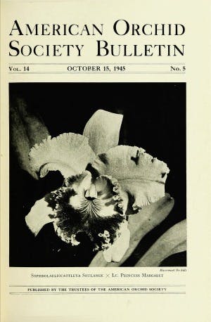 October 1945