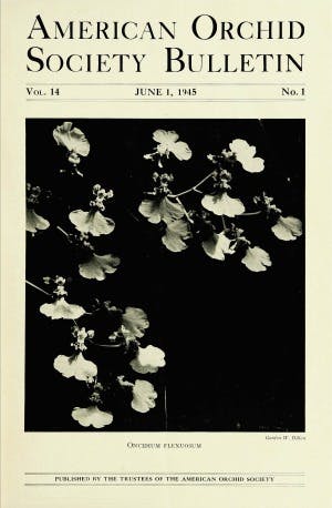 June 1945