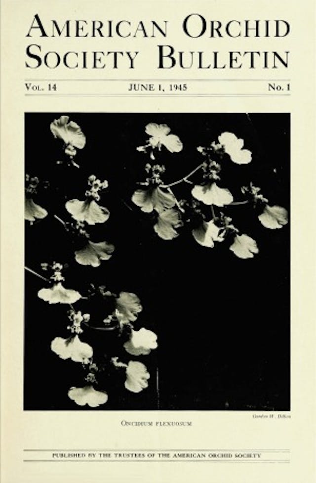 June 1945 - American Orchid Society