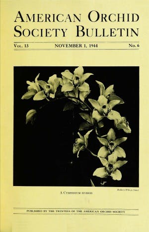 November 1944
