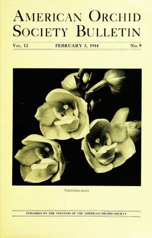 February 1944
