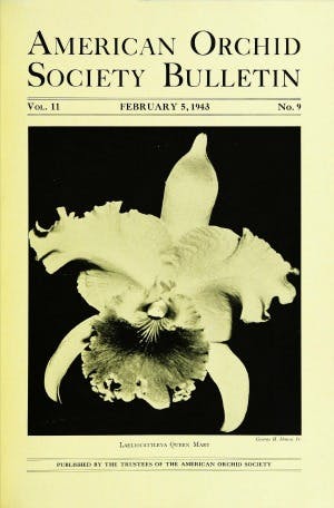 February 1943