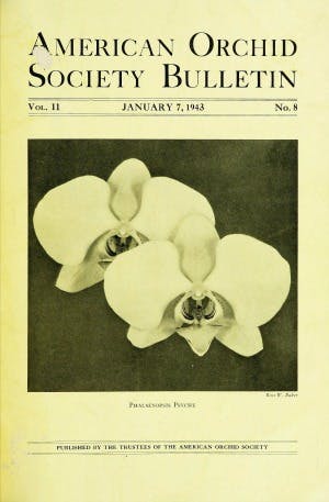 January 1943