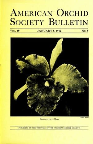 January 1942