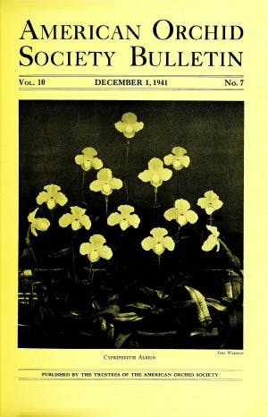 December 1941