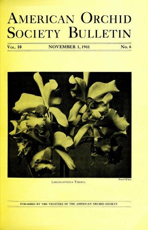 November 1941