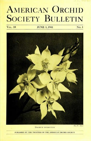 June 1941