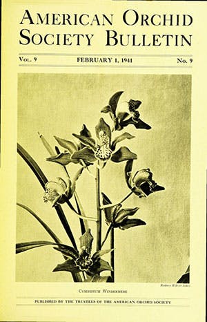 February 1941